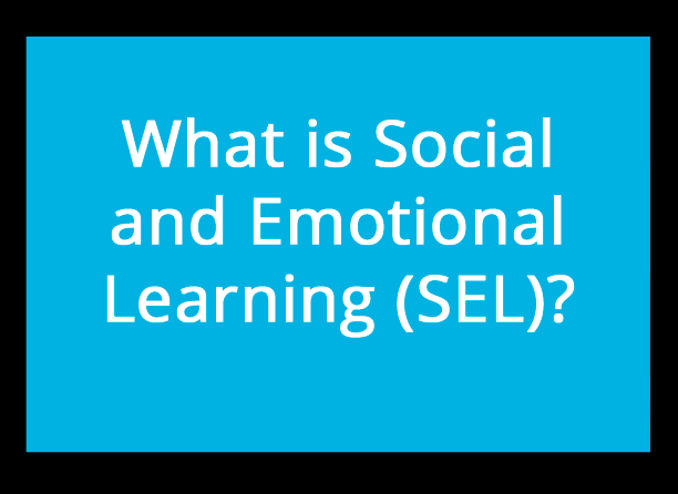 sel-1.png